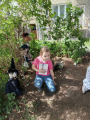 IMG-20240502-WA0002