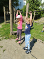 IMG-20240606-WA0006