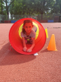 IMG-20240606-WA0017