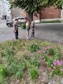 IMG-20240616-WA0041