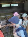 IMG-20240517-WA0002