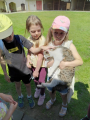 IMG-20240517-WA0005