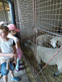 IMG-20240517-WA0008