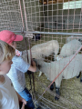 IMG-20240517-WA0009