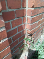 IMG-20240517-WA0014