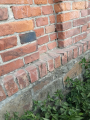 IMG-20240517-WA0017
