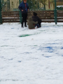 IMG-20241124-WA0006