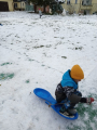 IMG-20241124-WA0008