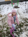 IMG-20241124-WA0010